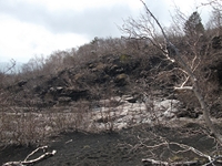 rra delle Concazze-201100508 014
